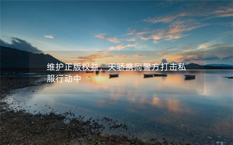 维护正版权益，天骄携同警方打击私服行动中