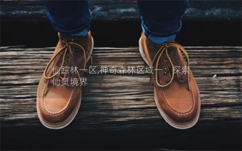 仙踪林一区,神奇森林区域一：探索仙灵境界