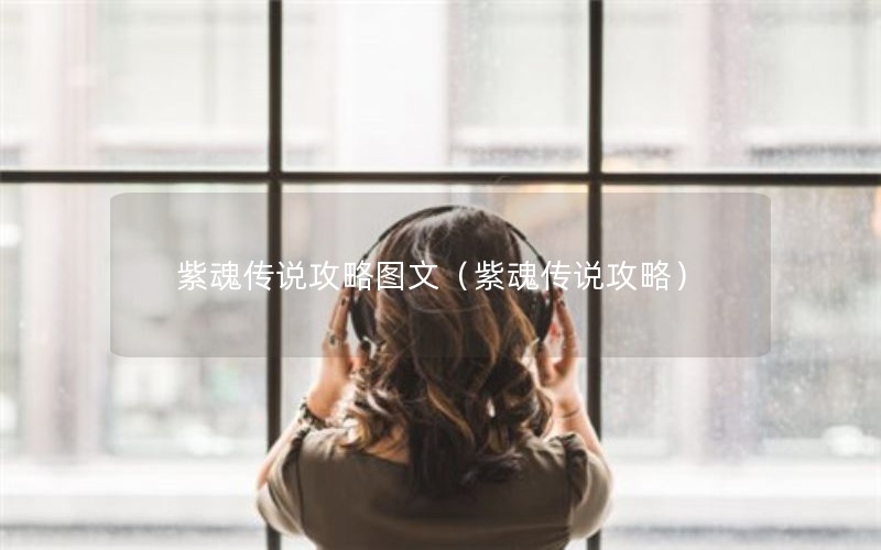 紫魂传说攻略图文（紫魂传说攻略）