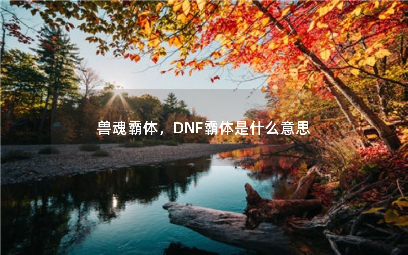 兽魂霸体，DNF霸体是什么意思