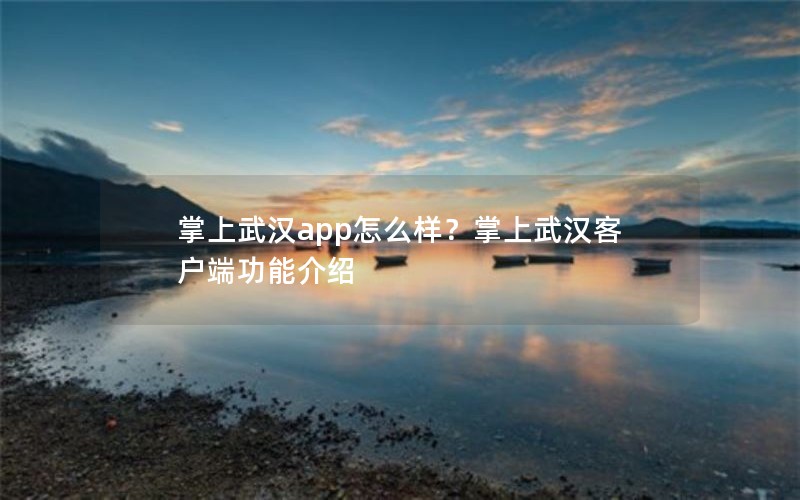 掌上武汉app怎么样？掌上武汉客户端功能介绍