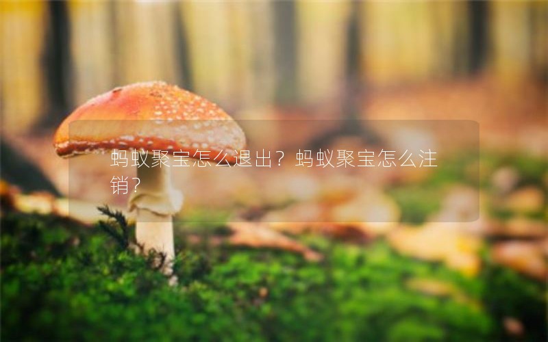 蚂蚁聚宝怎么退出？蚂蚁聚宝怎么注销？