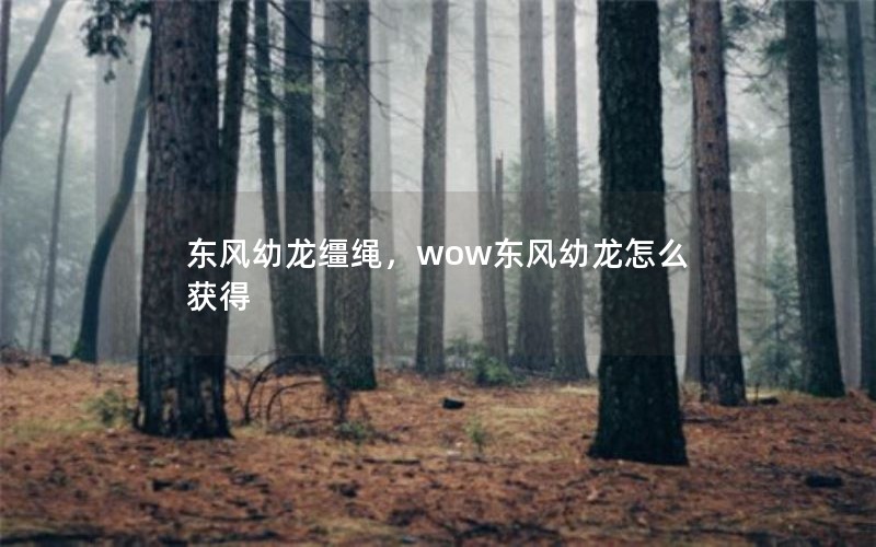 东风幼龙缰绳，wow东风幼龙怎么获得