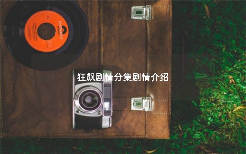 狂飙剧情分集剧情介绍