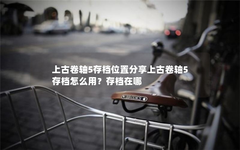 上古卷轴5存档位置分享上古卷轴5存档怎么用？存档在哪