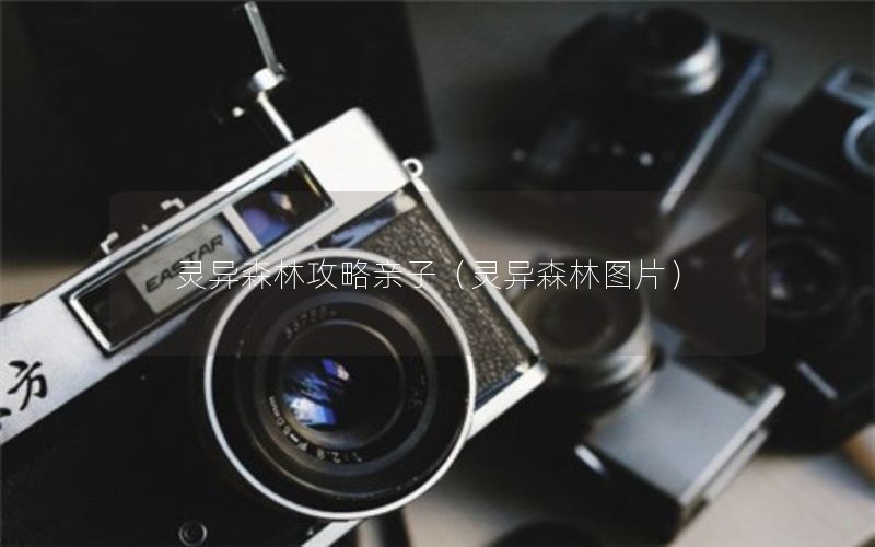 灵异森林攻略亲子（灵异森林图片）