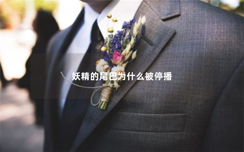 妖精的尾巴为什么被停播 妖精的尾巴为什么被停播