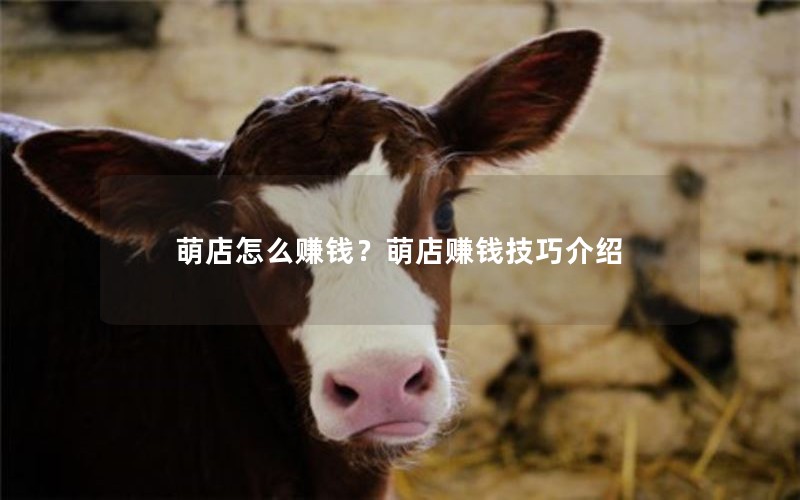 萌店怎么赚钱？萌店赚钱技巧介绍