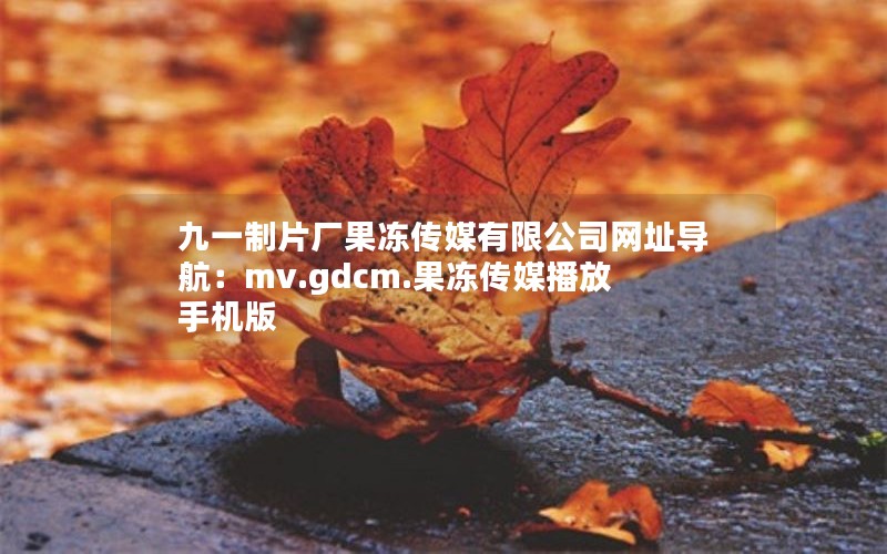 九一制片厂果冻传媒有限公司网址导航：mv.gdcm.果冻传媒播放手机版
