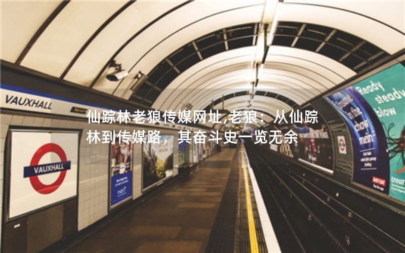 仙踪林老狼传媒网址,老狼：从仙踪林到传媒路，其奋斗史一览无余