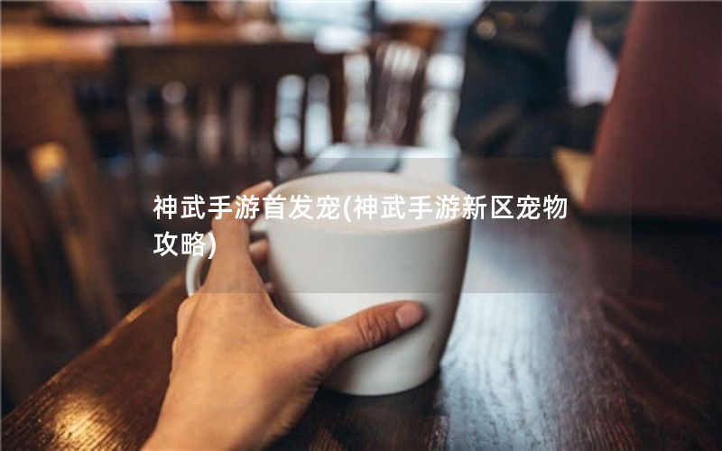 神武手游首发宠(神武手游新区宠物攻略)