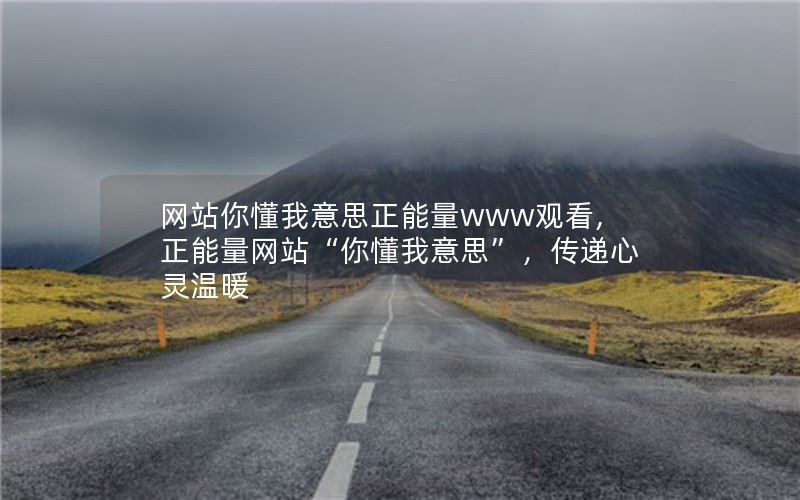 网站你懂我意思正能量www观看,正能量网站“你懂我意思”，传递心灵温暖