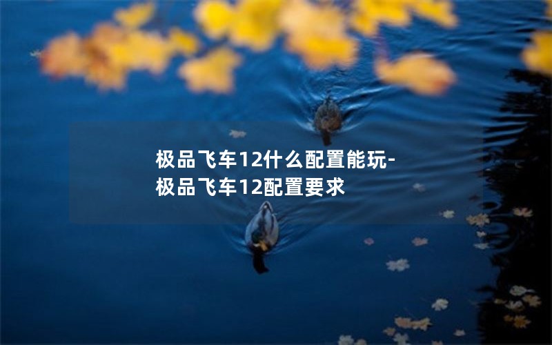 极品飞车12什么配置能玩-极品飞车12配置要求