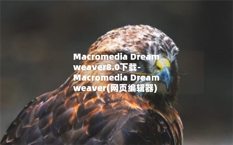 Macromedia Dreamweaver8.0下载-Macromedia Dreamweaver(网页编辑器) 8.0 绿色中文版