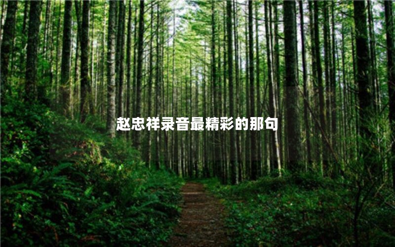 赵忠祥录音最精彩的那句