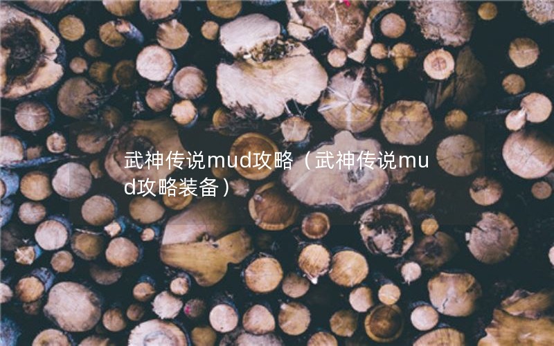 武神传说mud攻略（武神传说mud攻略装备）