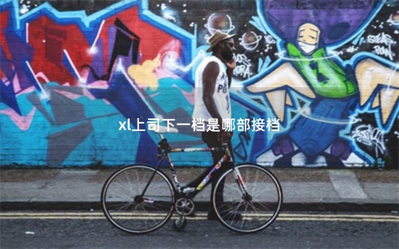 xl上司下一档是哪部接档