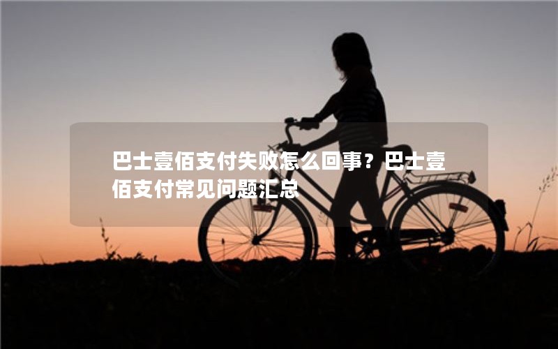 巴士壹佰支付失败怎么回事？巴士壹佰支付常见问题汇总