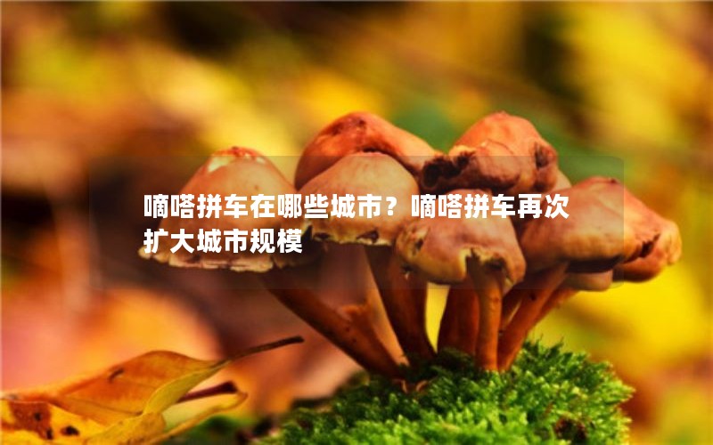 嘀嗒拼车在哪些城市？嘀嗒拼车再次扩大城市规模