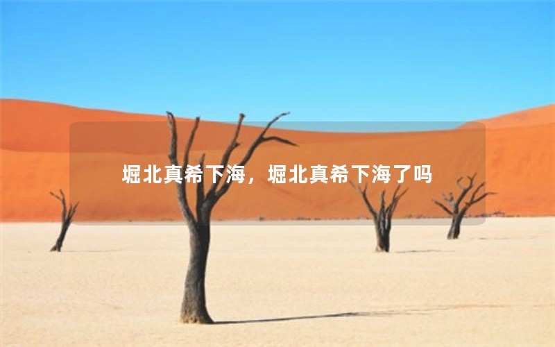 堀北真希下海,堀北真希下海了吗 堀北真希下海,堀北真希下海了吗