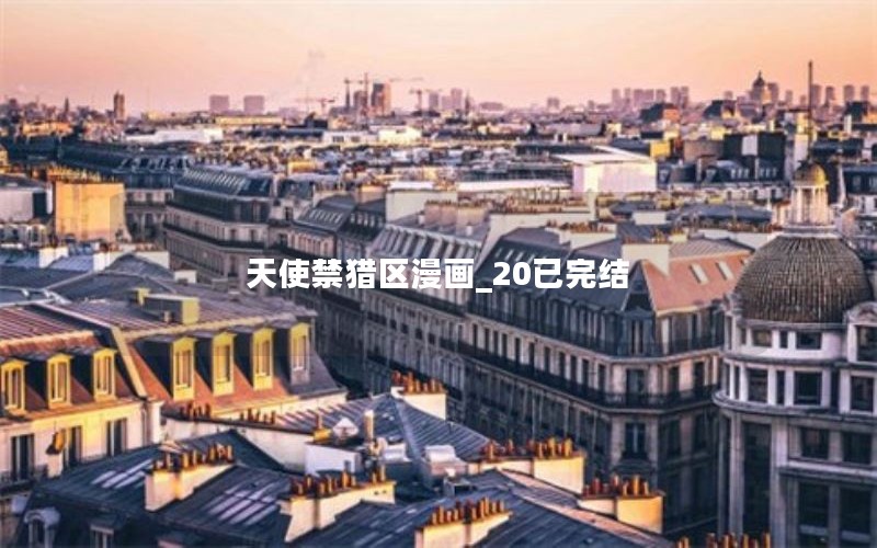 天使禁猎区漫画_20已完结