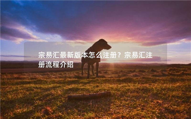 宗易汇最新版本怎么注册？宗易汇注册流程介绍