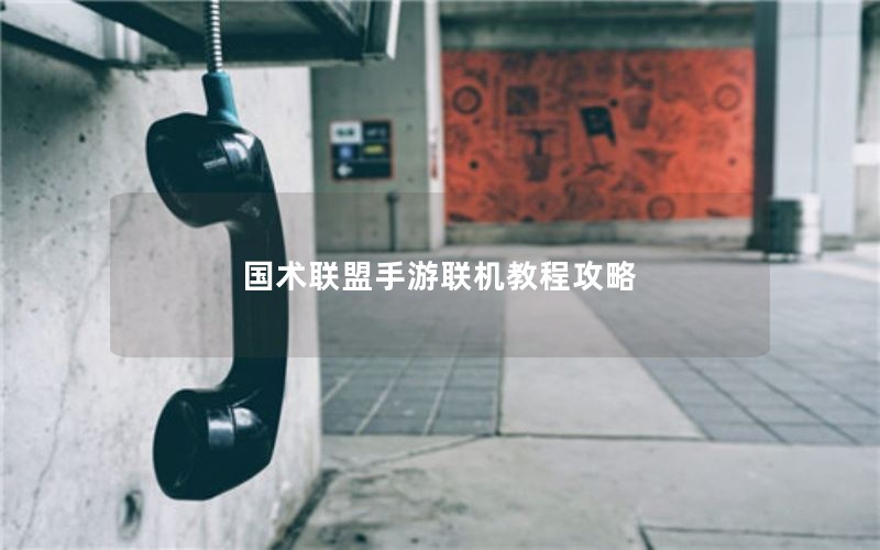 国术联盟手游联机教程攻略