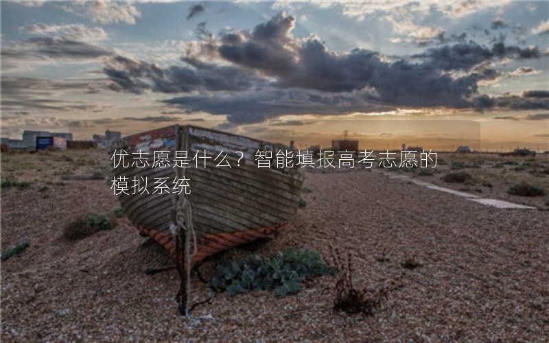 优志愿是什么？智能填报高考志愿的模拟系统