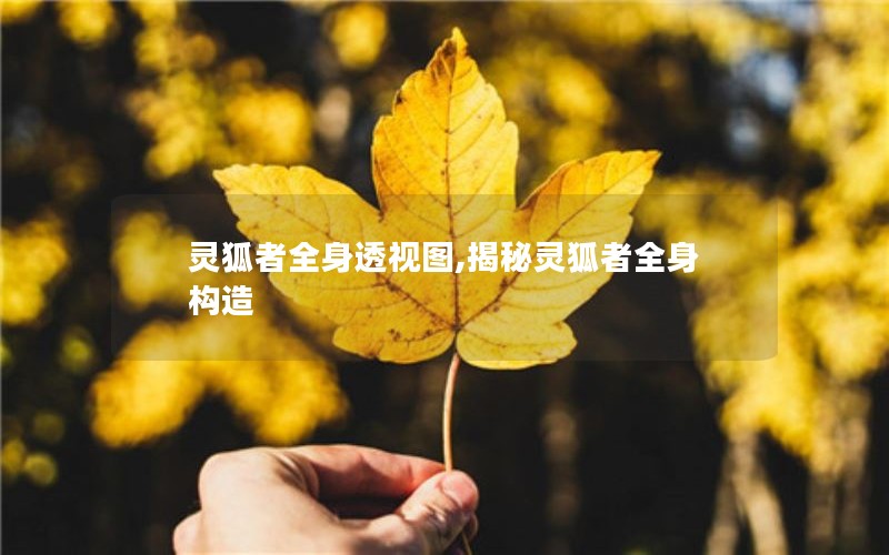 灵狐者全身透视图,揭秘灵狐者全身构造