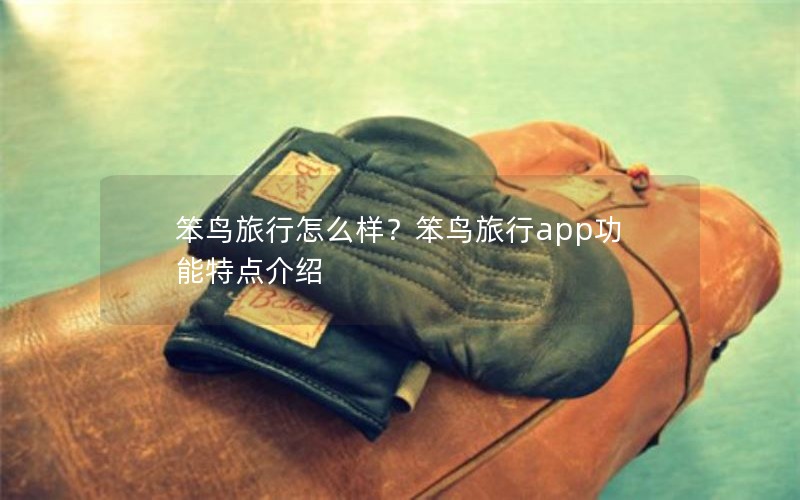 笨鸟旅行怎么样?笨鸟旅行app功能特点介绍 笨鸟旅行怎么样?笨鸟旅行app功能特点介绍