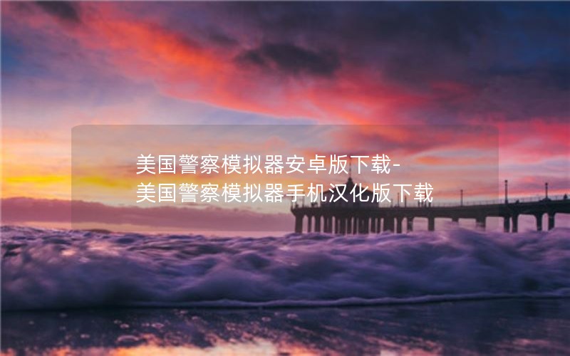 美国警察模拟器安卓版下载-美国警察模拟器手机汉化版下载