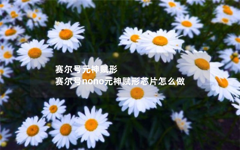 赛尔号元神赋形 赛尔号nono元神赋形芯片怎么做