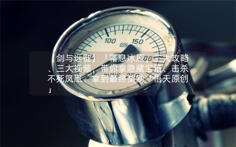 【剑与远征】「霜息冰原」三大攻略、三大视频，带你拿隐藏宝箱、击杀不死凤凰、拿到最终奖励「悟天原创」