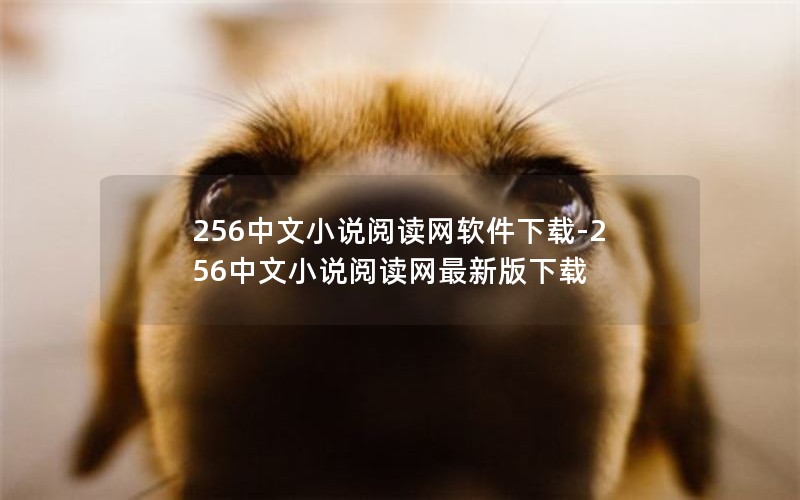 256中文小说阅读网软件下载-256中文小说阅读网最新版下载