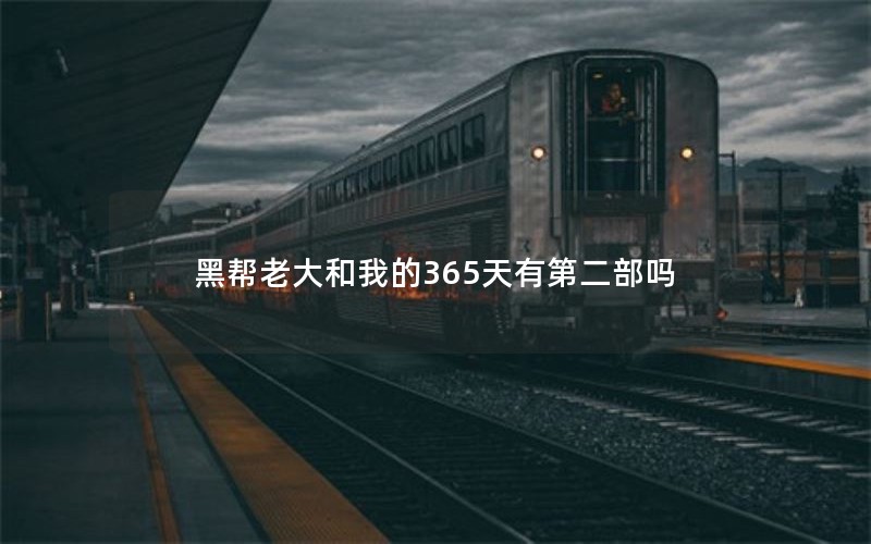 黑帮老大和我的365天有第二部吗 黑帮老大和我的365天有第二部吗