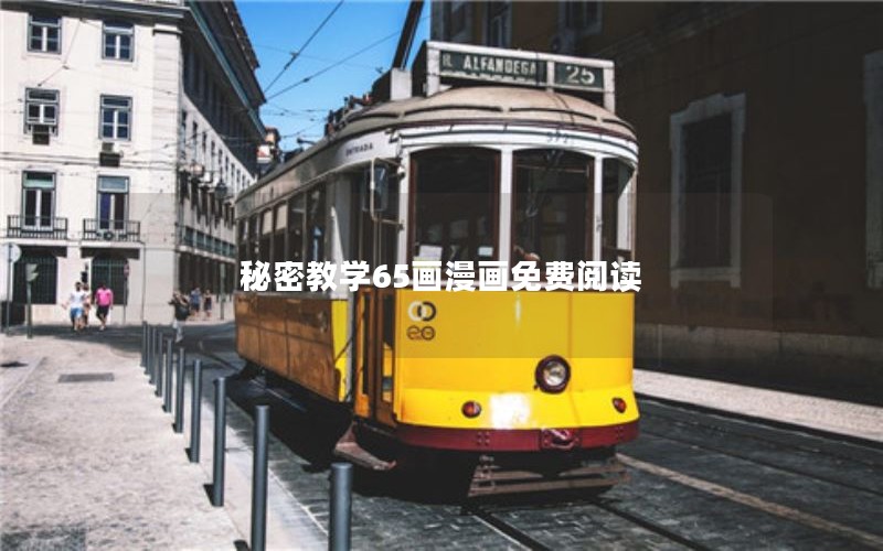 秘密教学65画漫画免费阅读