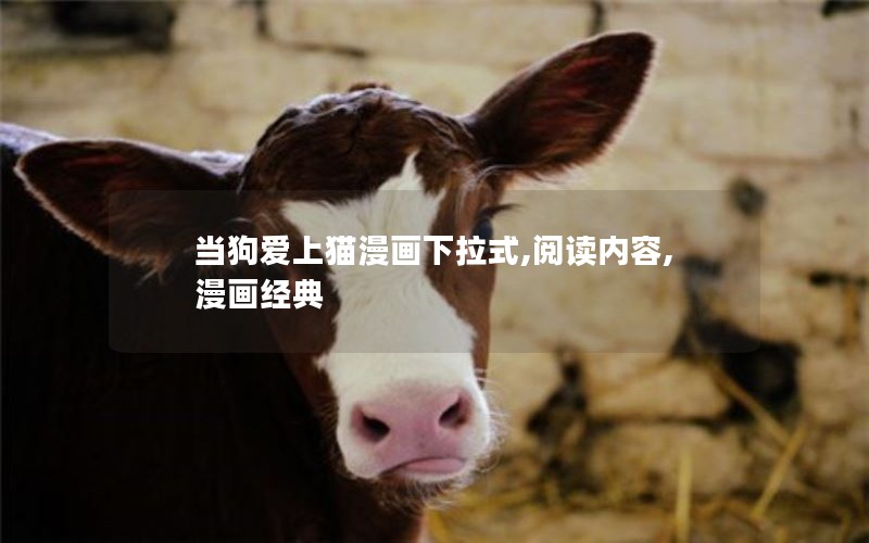 当狗爱上猫漫画下拉式,阅读内容,漫画经典