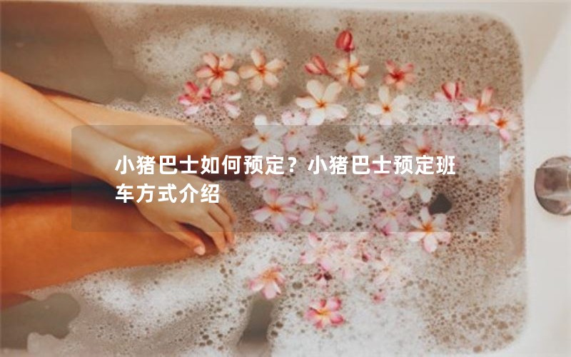 小猪巴士如何预定？小猪巴士预定班车方式介绍