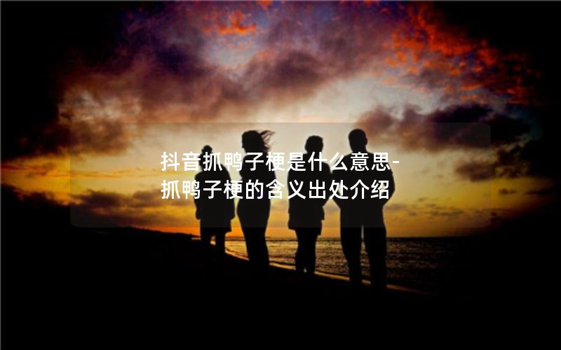 抖音抓鸭子梗是什么意思-抓鸭子梗的含义出处介绍