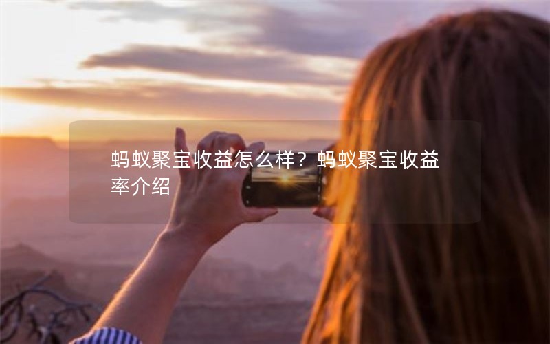 蚂蚁聚宝收益怎么样?蚂蚁聚宝收益率介绍 蚂蚁聚宝收益怎么样?蚂蚁聚宝收益率介绍