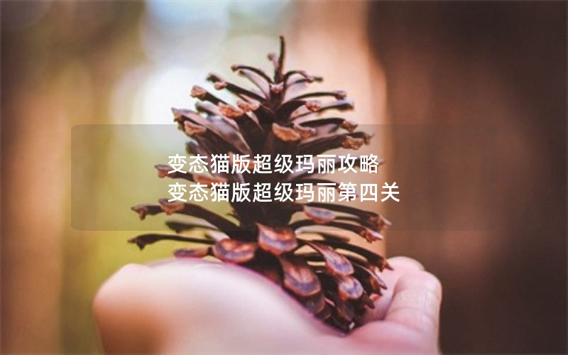 变态猫版超级玛丽攻略 变态猫版超级玛丽第四关