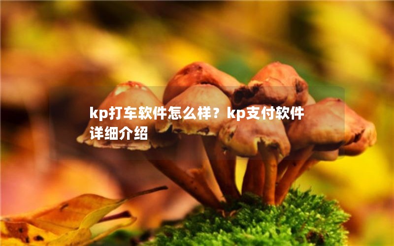 kp打车软件怎么样？kp支付软件详细介绍