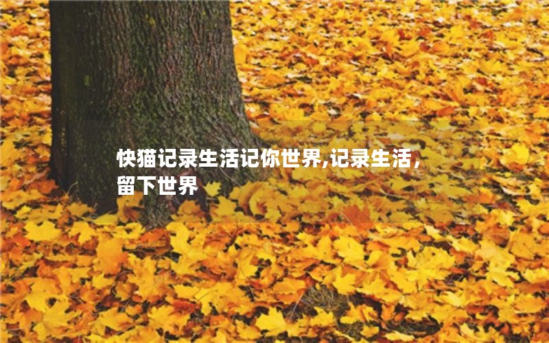快猫记录生活记你世界,记录生活，留下世界