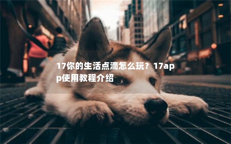 17你的生活点滴怎么玩？17app使用教程介绍
