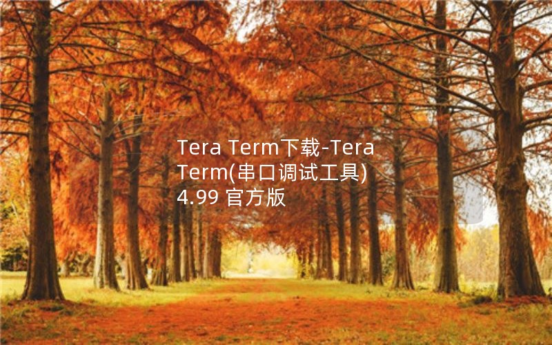 Tera Term下载-Tera Term(串口调试工具) 4.99 官方版