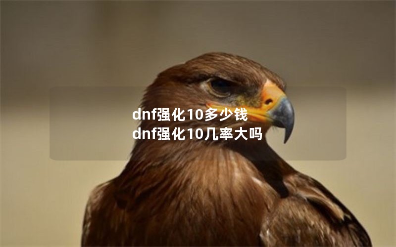 dnf强化10多少钱 dnf强化10几率大吗