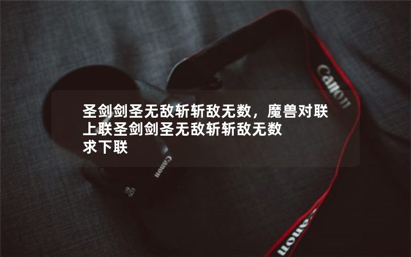 圣剑剑圣无敌斩斩敌无数，魔兽对联上联圣剑剑圣无敌斩斩敌无数 求下联