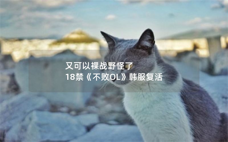 又可以裸战野怪了 18禁《不败OL》韩服复活