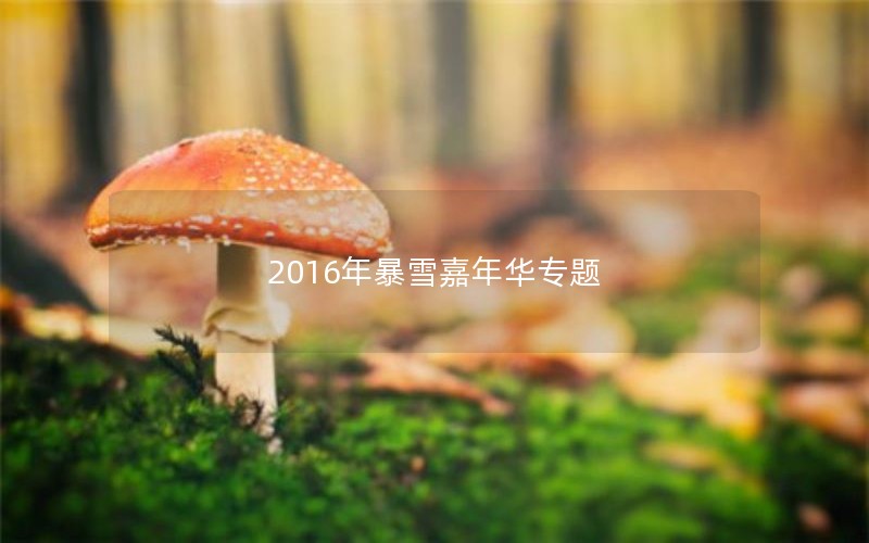 2016年暴雪嘉年华专题