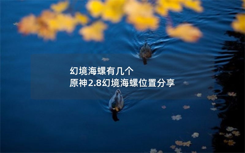 幻境海螺有几个 原神2.8幻境海螺位置分享